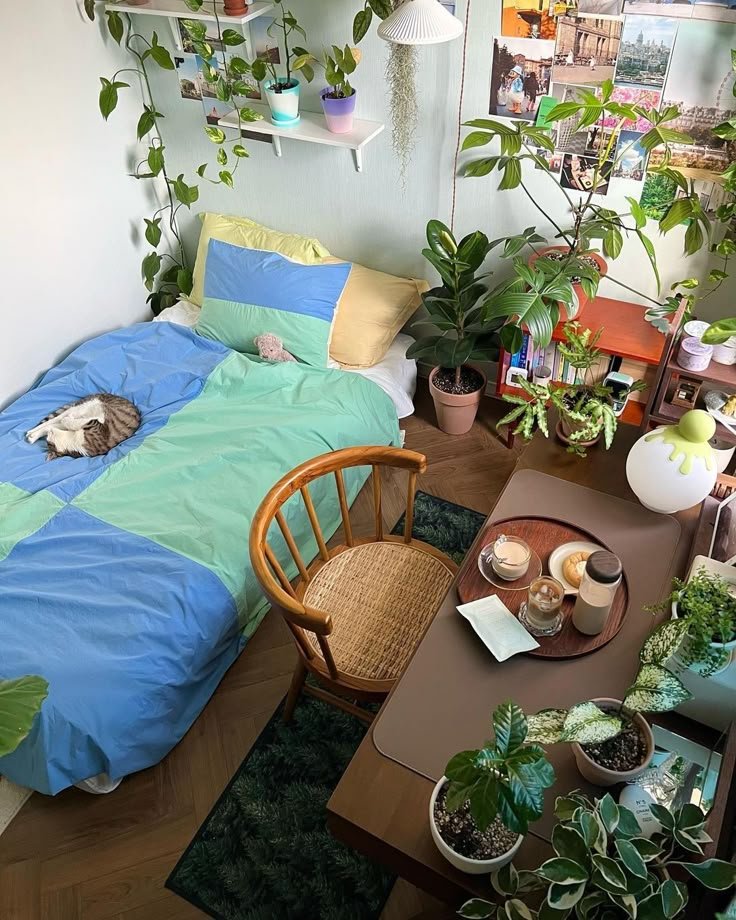 𝑒𝑙𝑦𝑟𝑎 tweet media