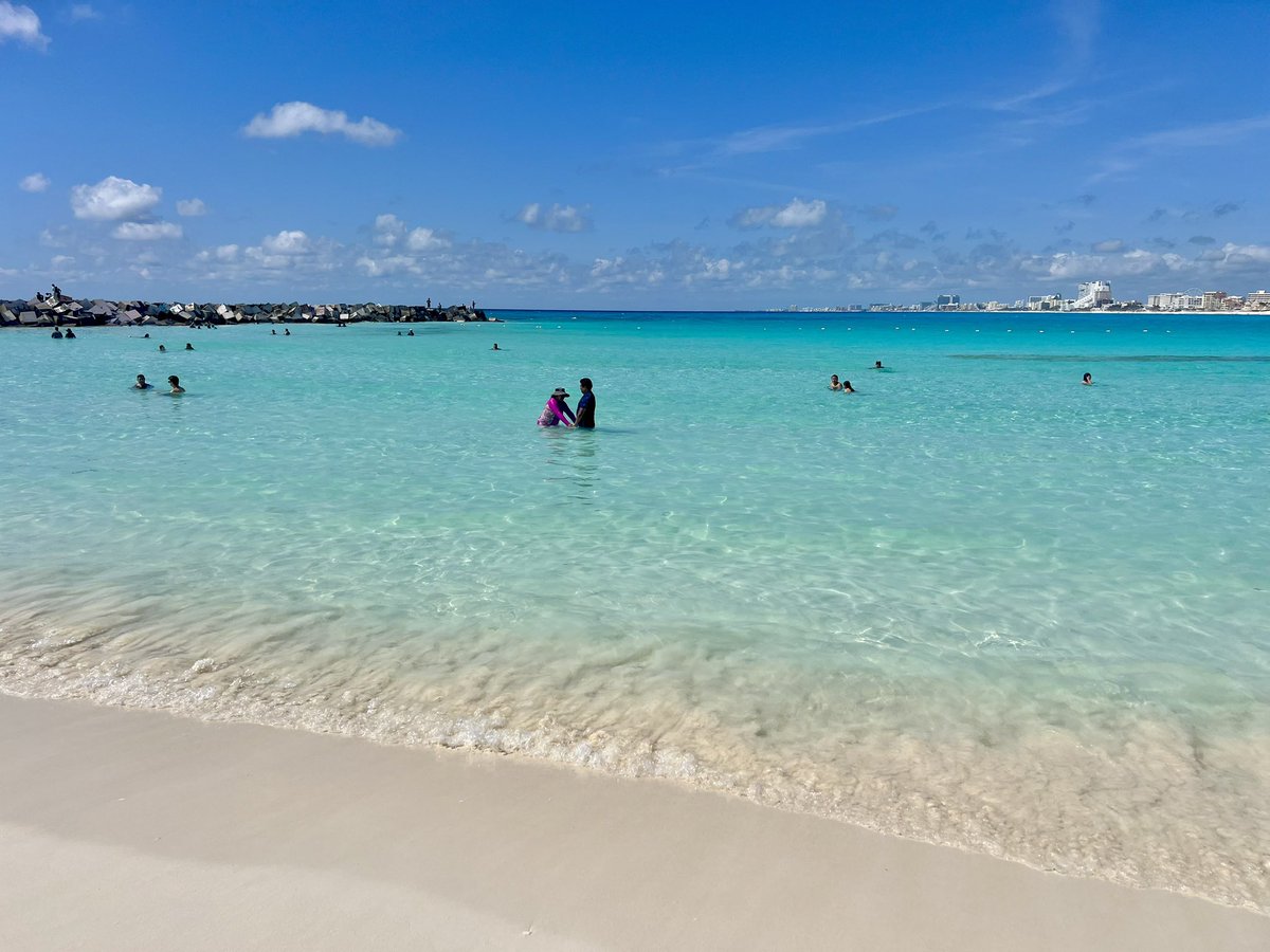 ERNESTO ZEPEDA tweet media