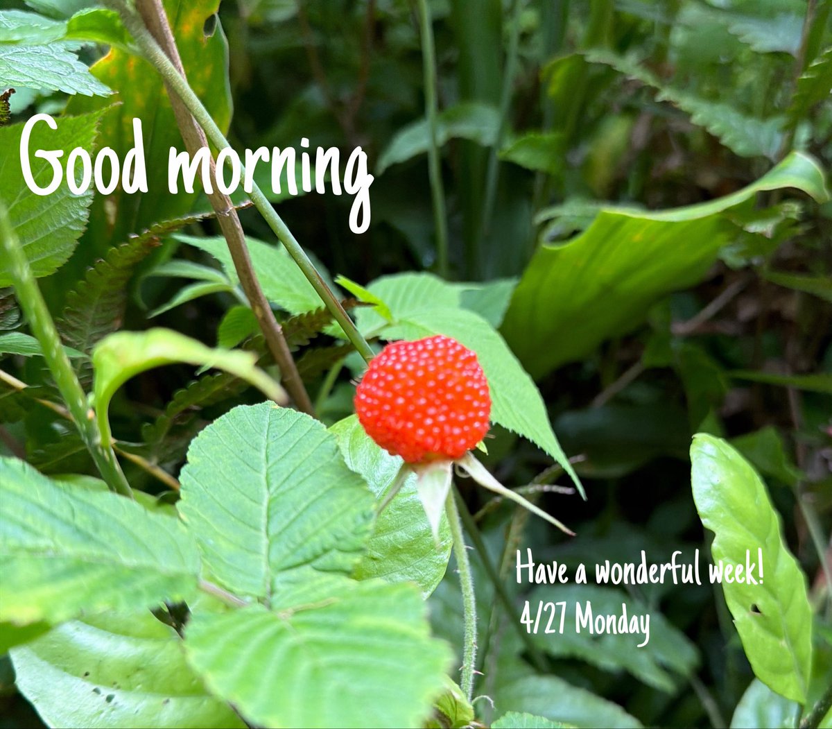 FM★ぎんが tweet media