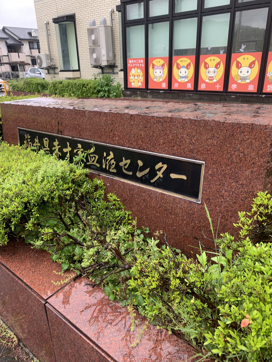 まゆゆと tweet media