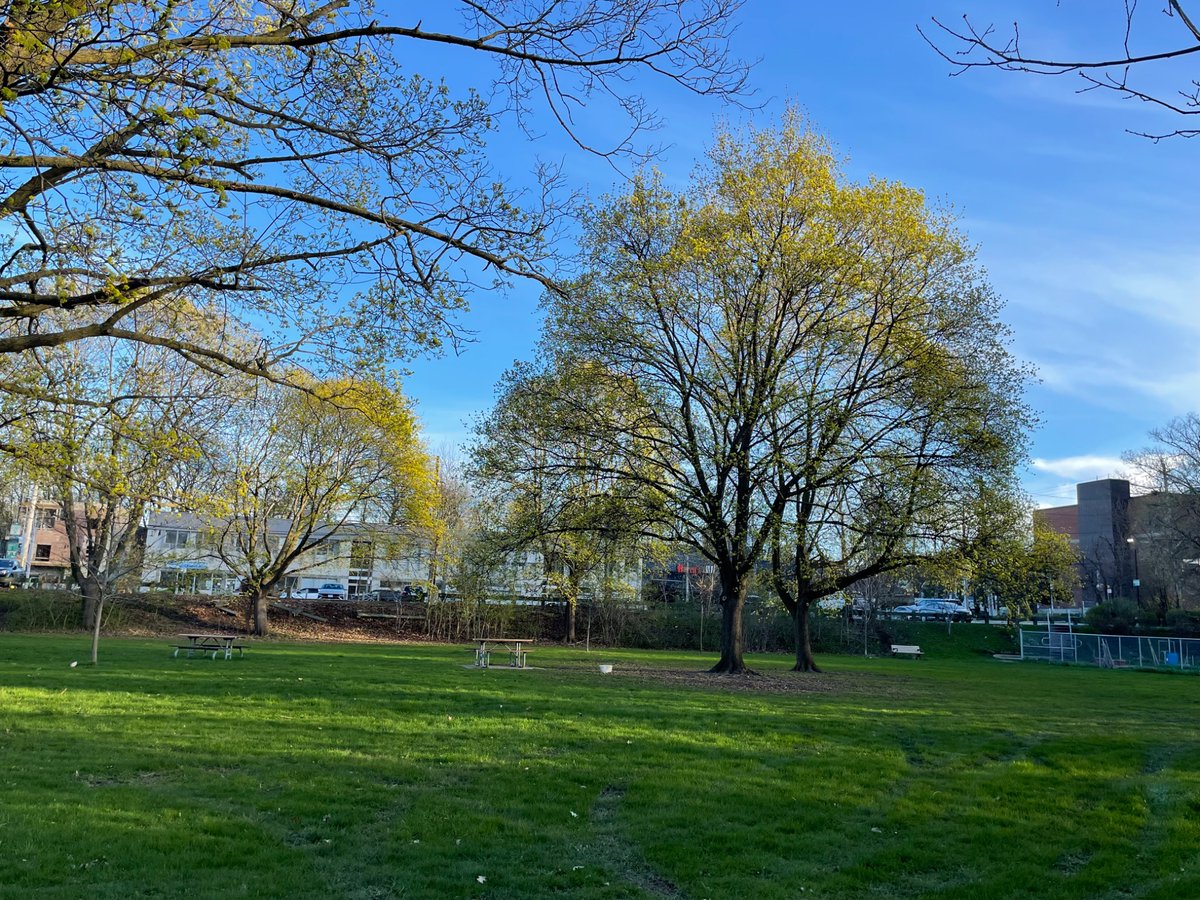 Alex Tao tweet media