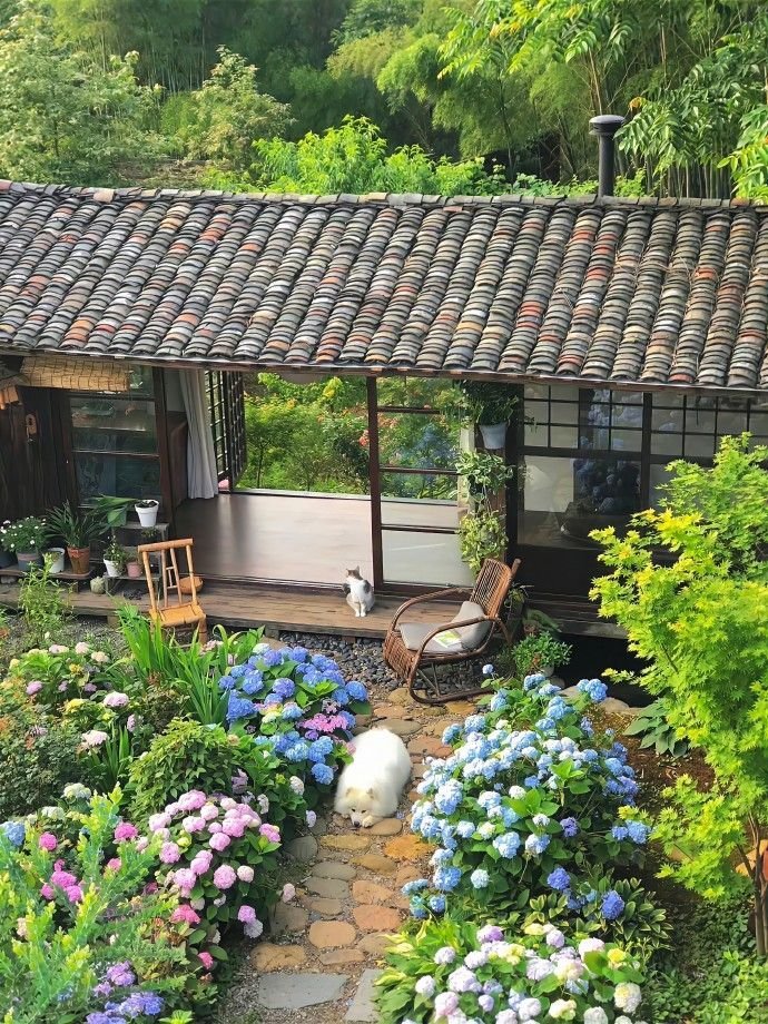 𝑒𝑙𝑦𝑟𝑎 tweet media