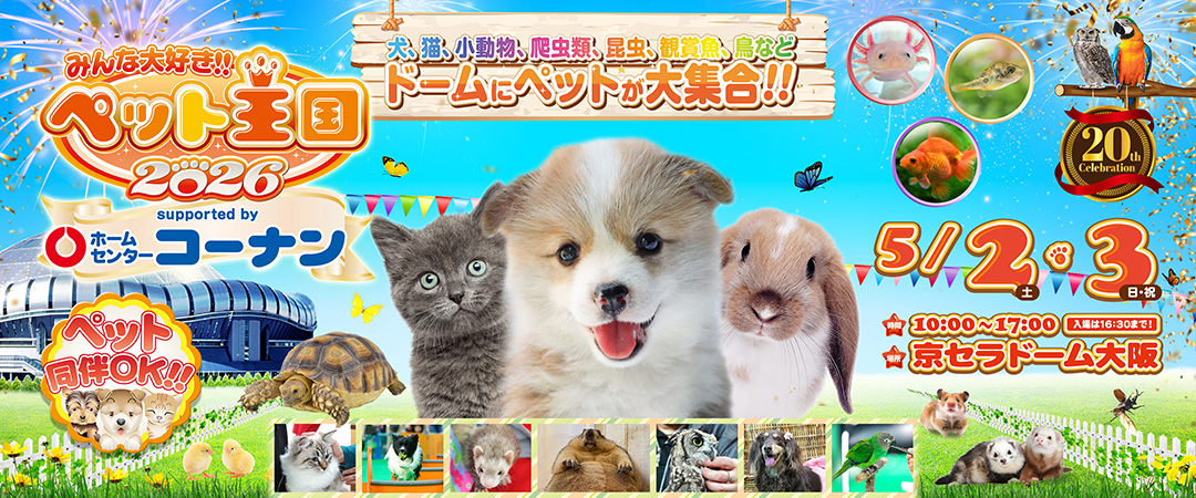 再募集⭐️ベッド⭐️ 今日はペット王国2026の話題から🥳🐕🐈 今週末の5/2(土)・5/3(日)は