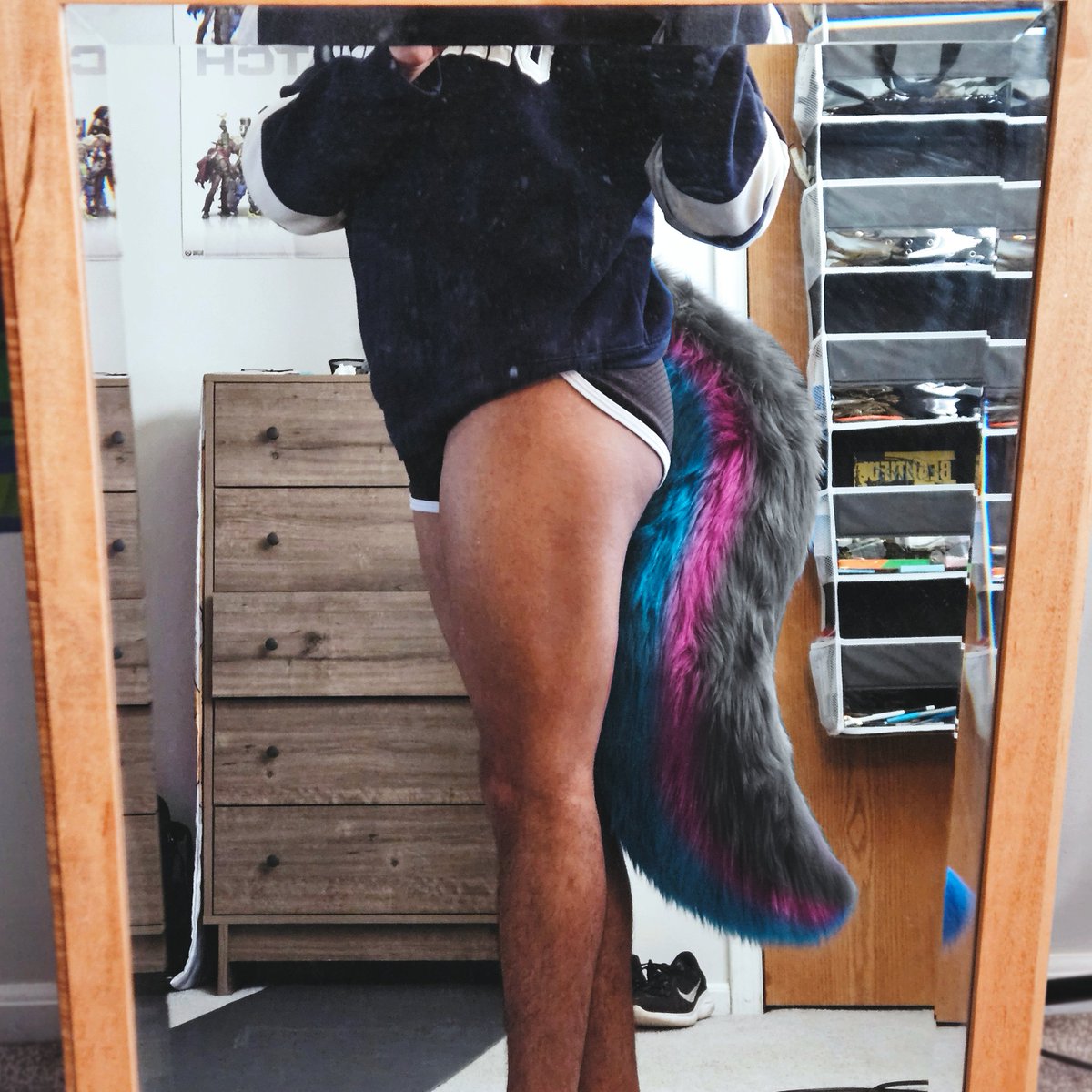 Awoo 🔜 AC tweet media