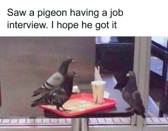 Eric Alper 🎧 tweet media