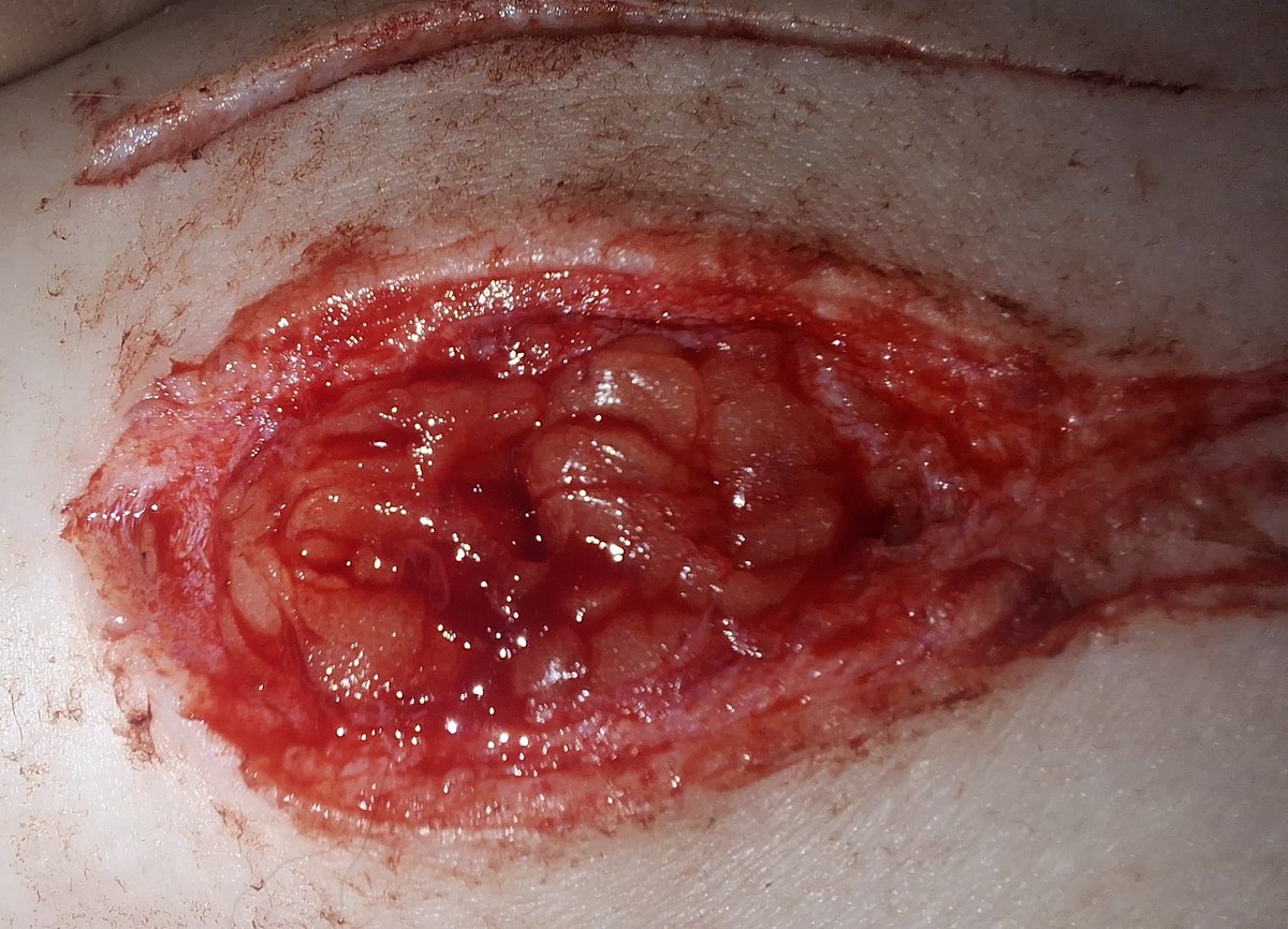 wıłl ɓyɛrṣ ⋆˚꩜.ᐟ øf·shtwt tweet media