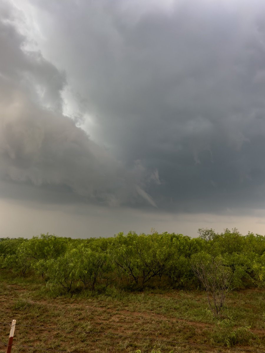 Stephen Cross tweet media