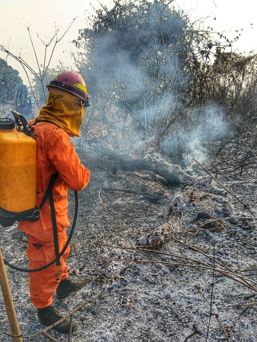 Bomberos El Salvador 🧑‍🚒🚒🇸🇻 tweet media