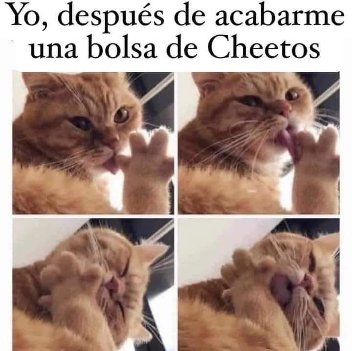 Ay si soy