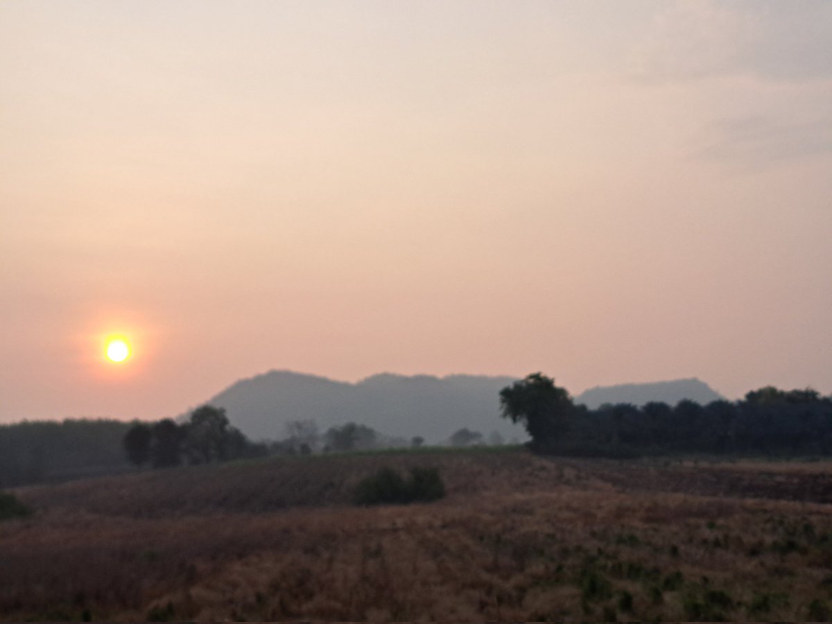 Supot Waewjapo tweet media