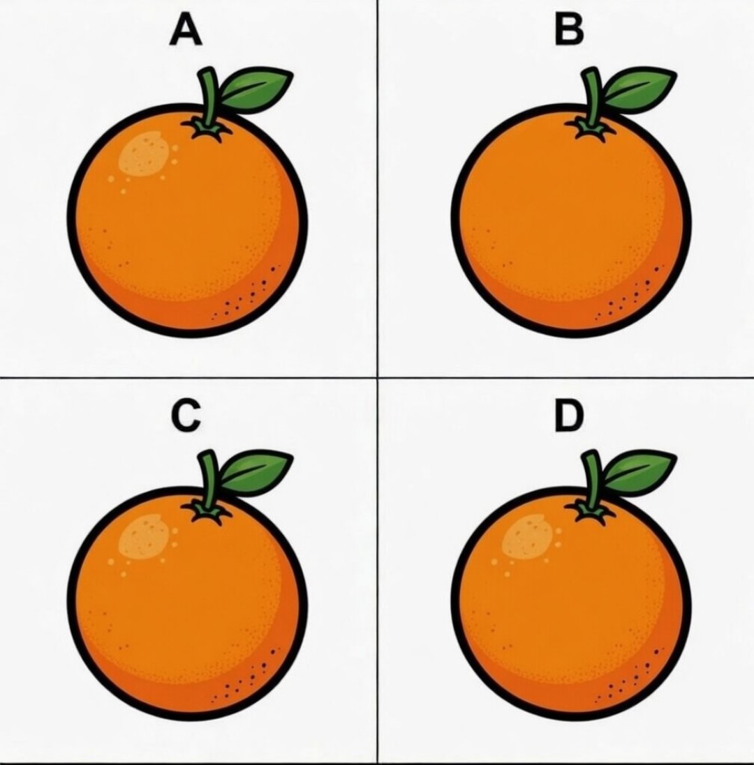 Jewel 🌗 tweet media