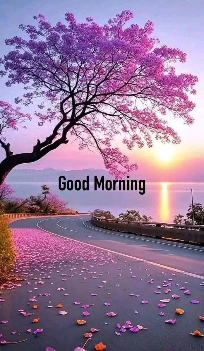 Сүлдээ tweet media