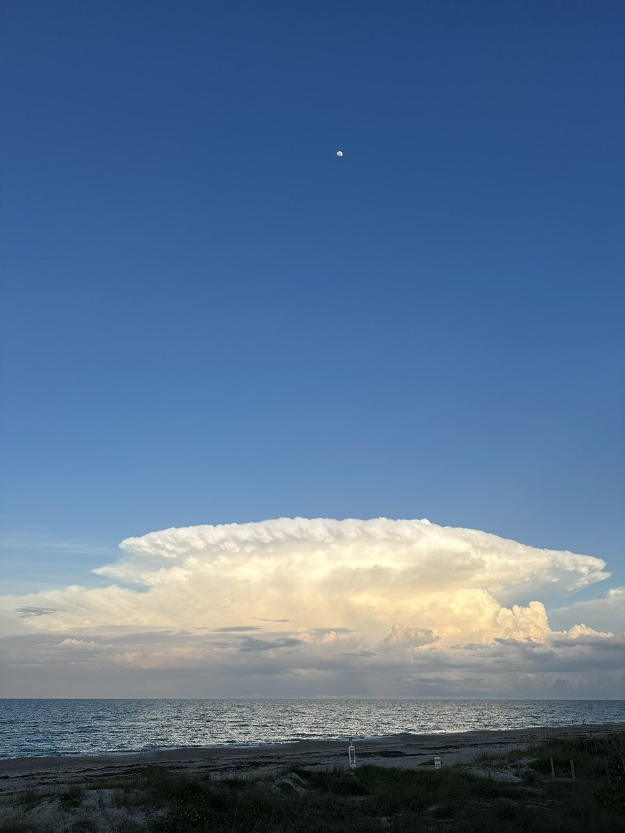 JackMur96372019's tweet image. #cloud #clouds #2026cloud #cloudtypebeat #cloud2026