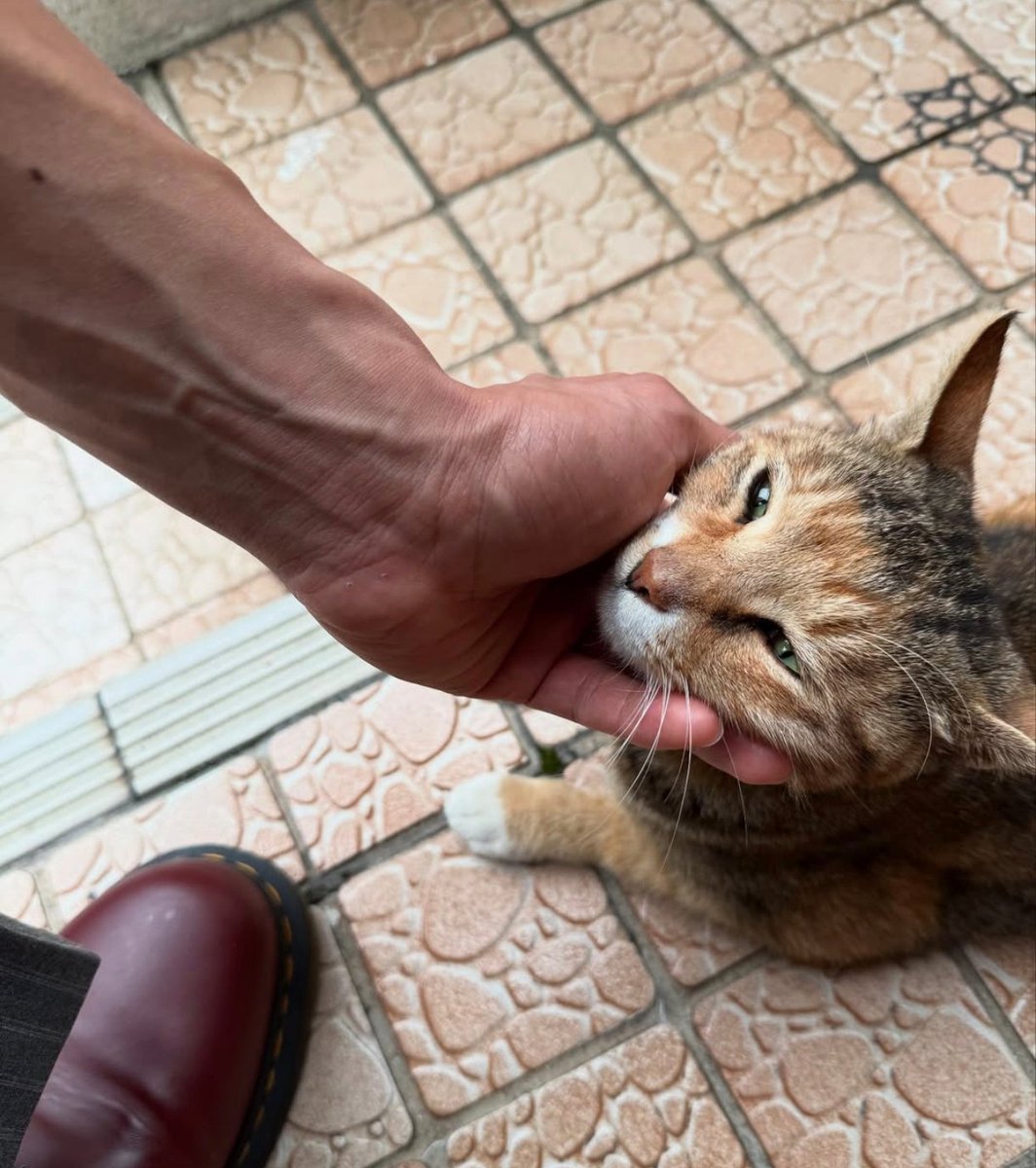 Alfredo. tweet media