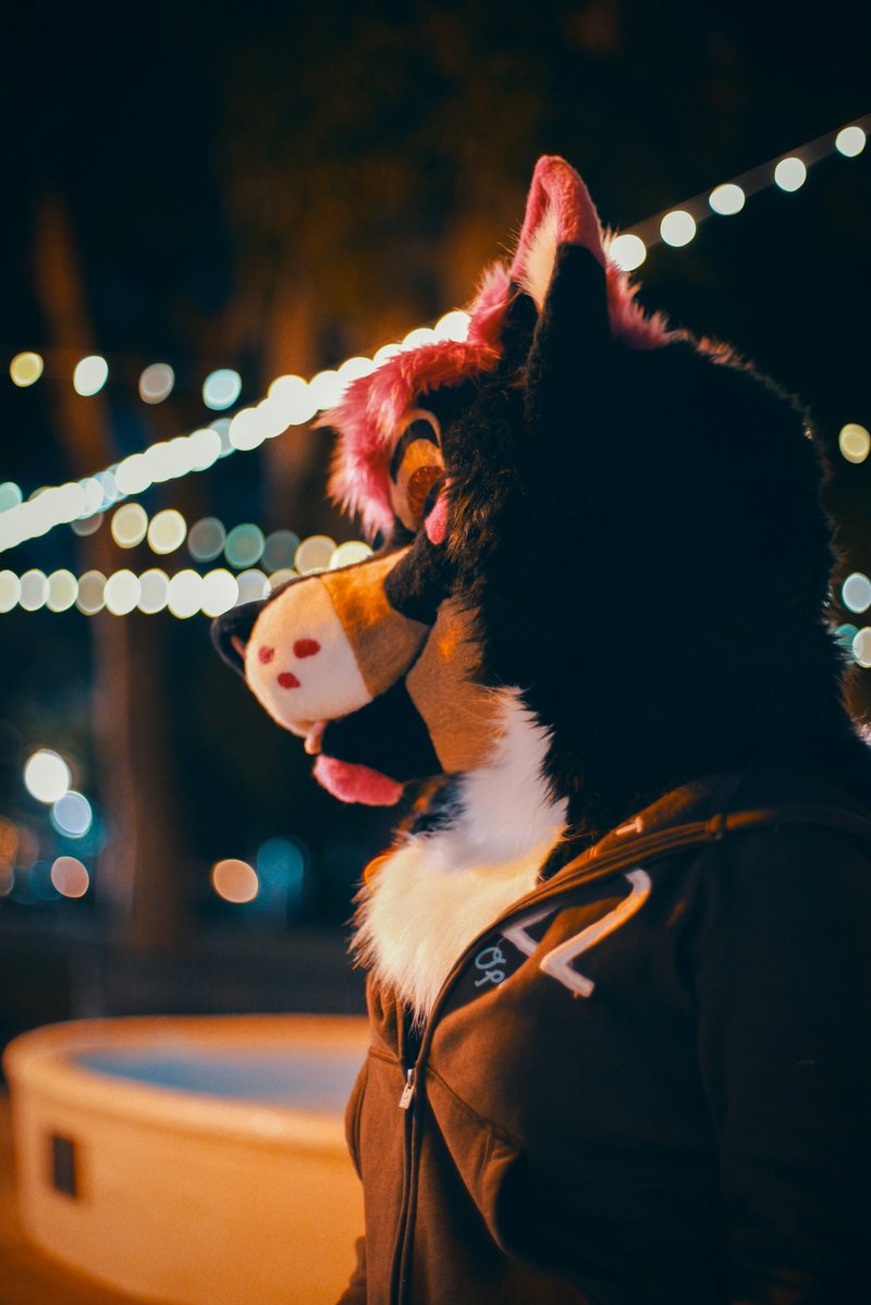 Morgan posting on twt 
🪡 - <a href="/canines_kill/">Canines Kill</a> 

(Trying to post more on here) 

#furry #fursona #fursuit