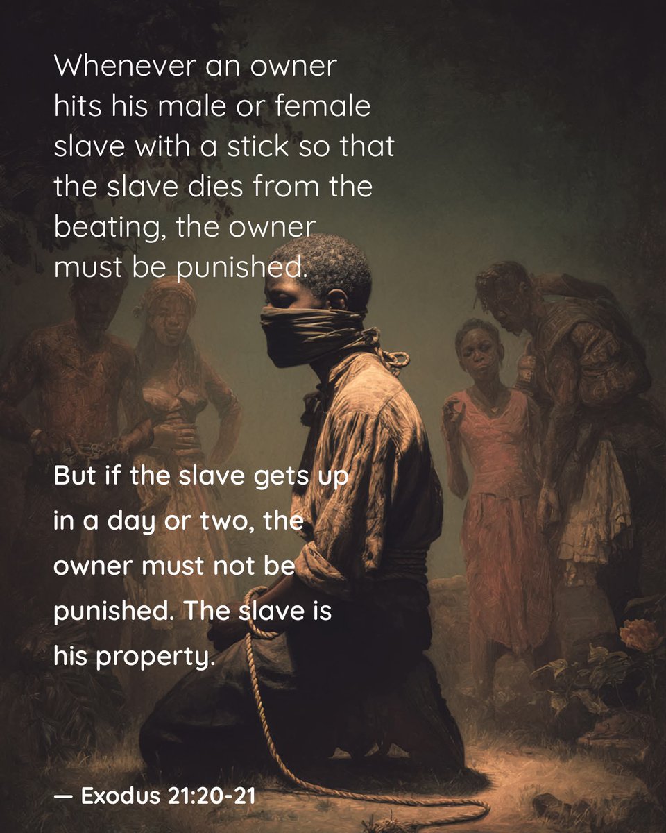 Fausto Portoghesi tweet media