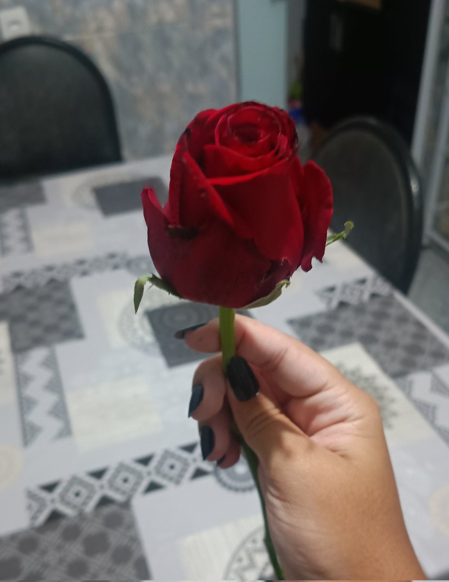 ℬibia do 𝒮unoo ENHYPEN IS 7 tweet media