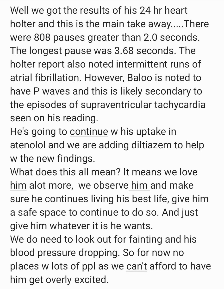 BigHeartBaloo tweet media