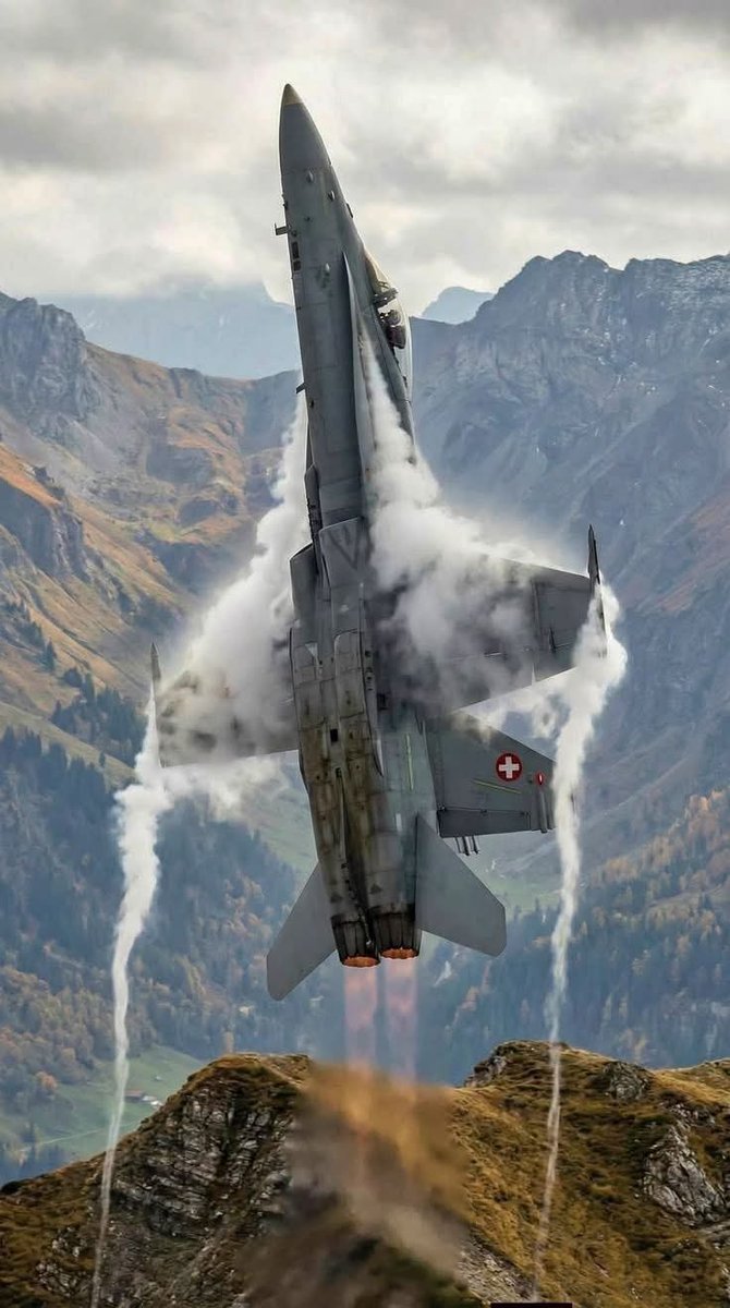 Ehsan 𓄂☼ 🇮🇷 tweet media