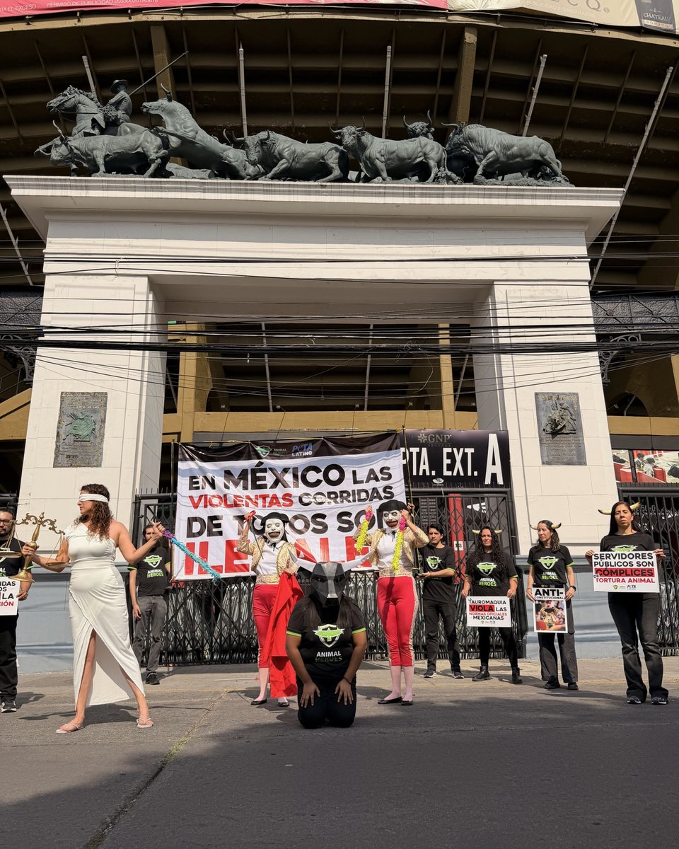 PETA Latino tweet media