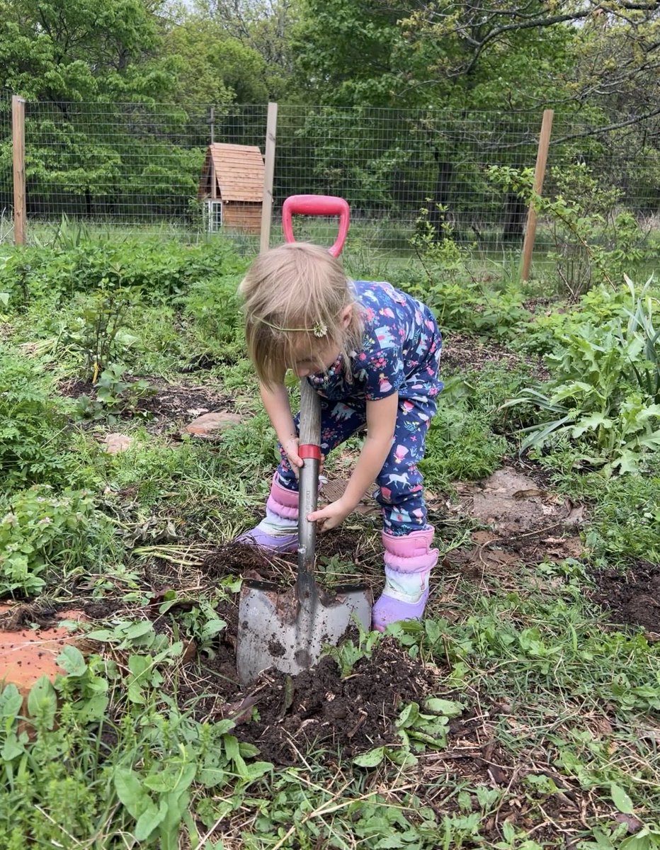 Olivia 🌺 🔧 tweet media