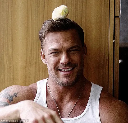 PissedOffReach's tweet image. Chick's dig me 🐣 

#SundayVibes #EndOfTheWkend