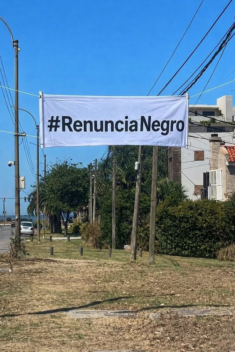 El Bagual bolso tweet media