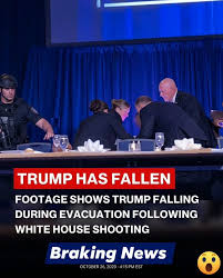 Lovable Liberal and his Old English sheepdog tweet media