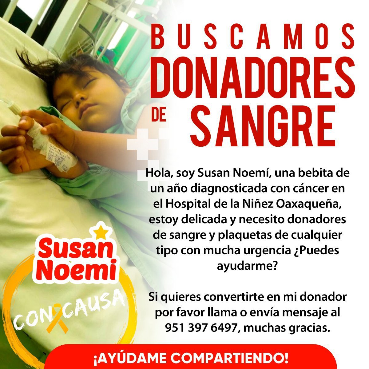 ConCausaMX's tweet image. Susan tuvo un accidente, además es paciente de cáncer por lo que necesita donadores de sangre y plaquetas con mucha urgencia, ayúdanos compartiendo esta publicación y si puedes también donándole 🎗️🩸 #DonSangre #ConCausa #Oaxaca #CancerInfantil