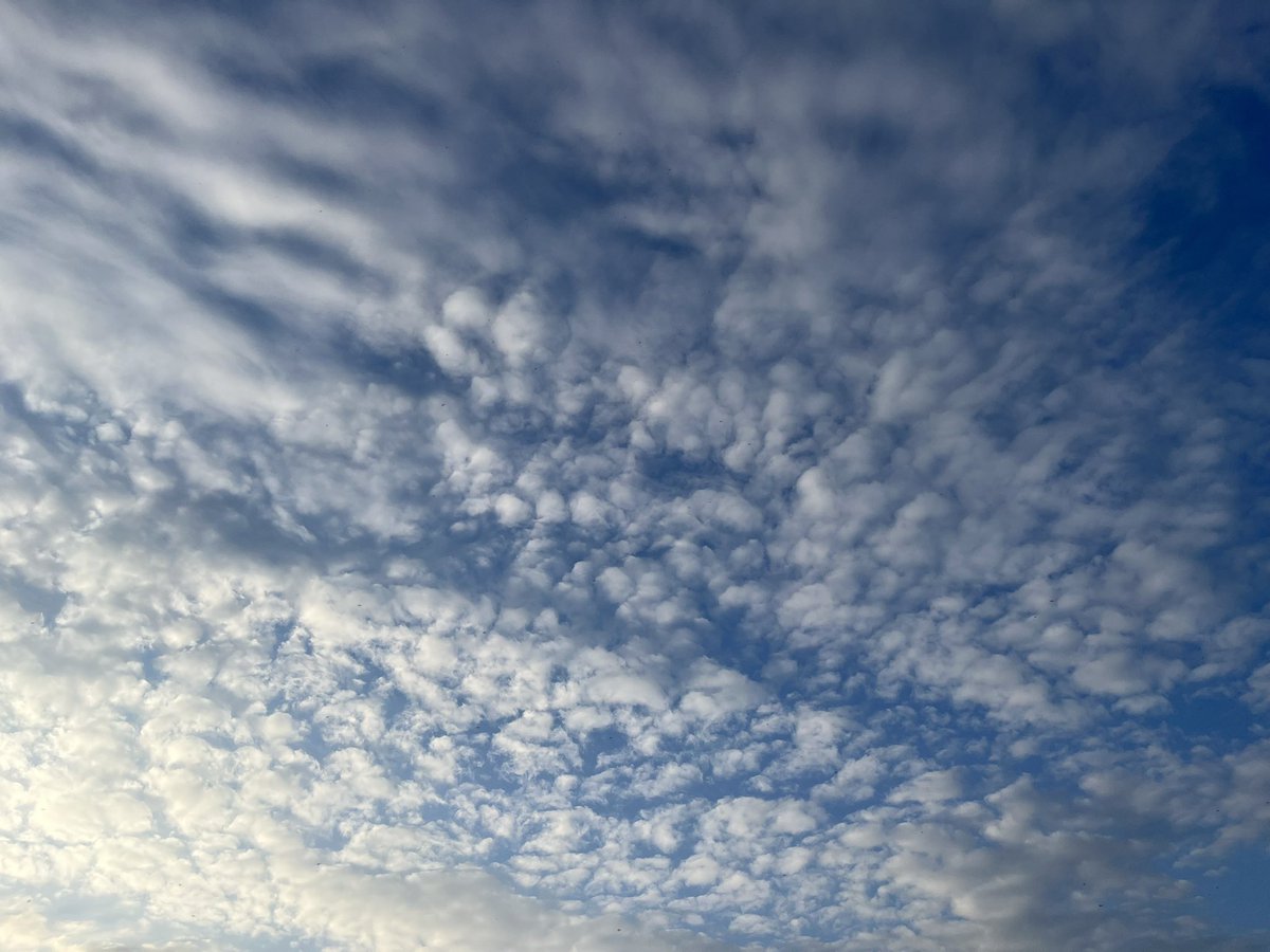 gemmahoneyb's tweet image. #glasgow #shawlands #scotland #sunset #beautiful