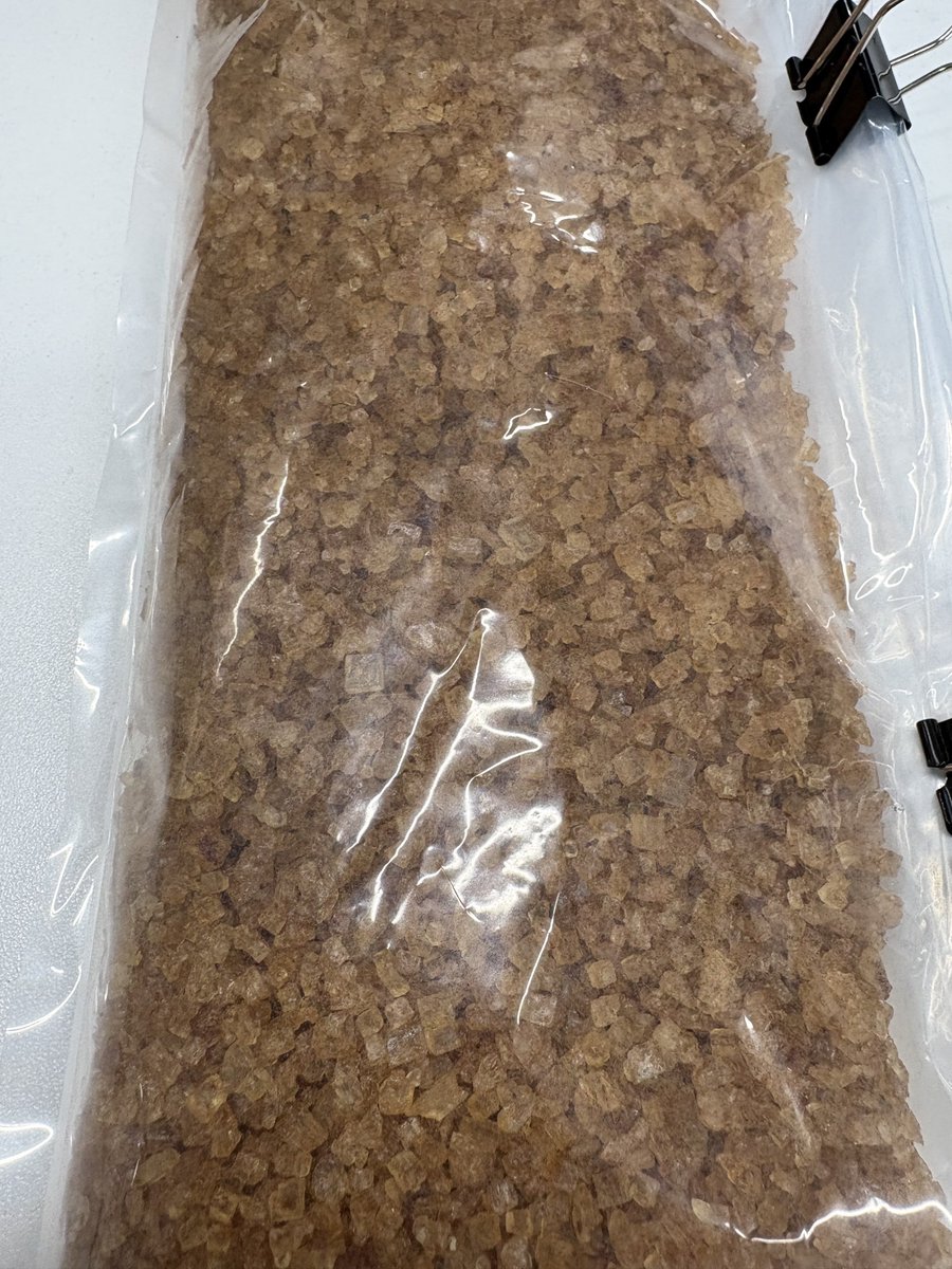 マルカワみそ＠河崎紘徳 tweet media