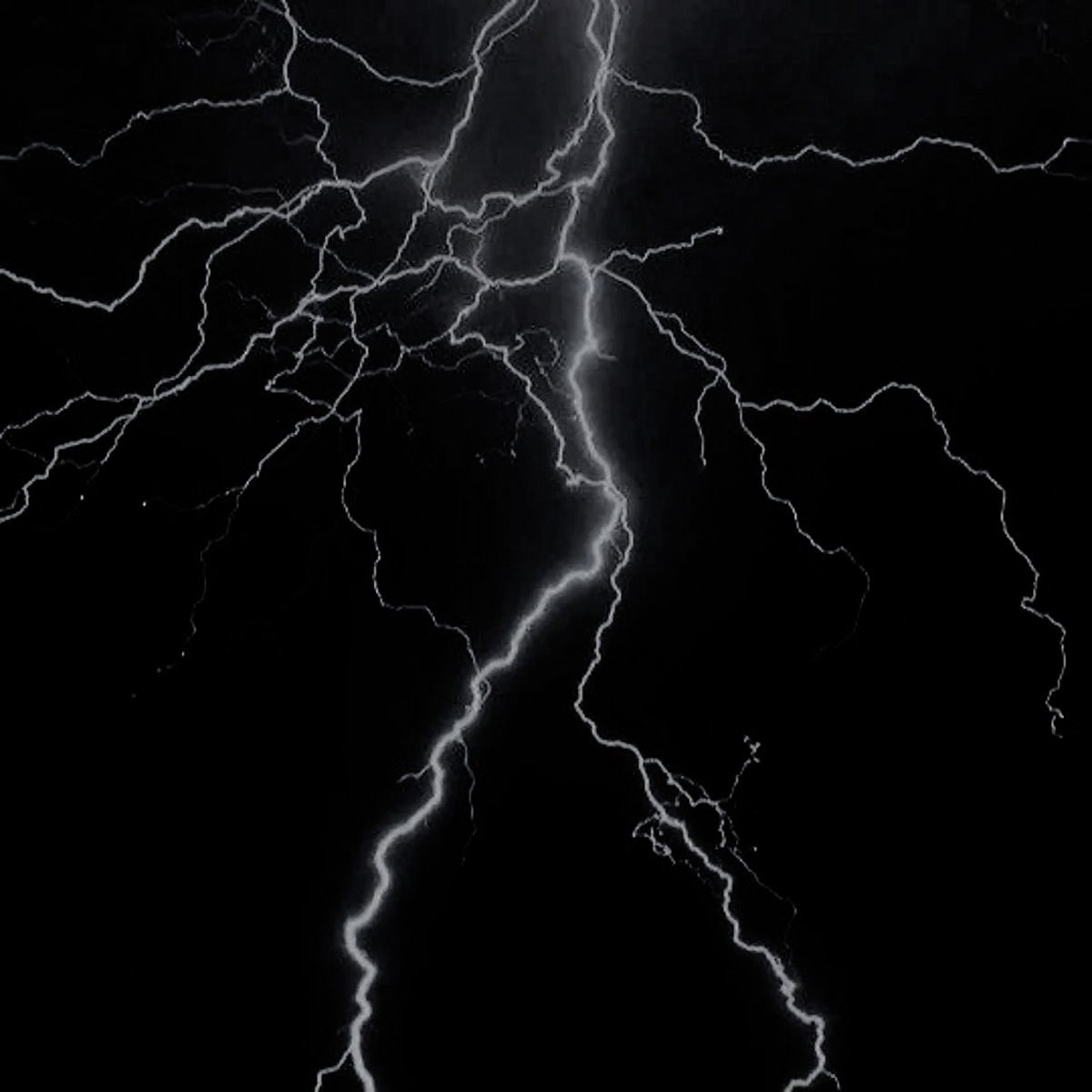 thalia. ⚡️ tweet media