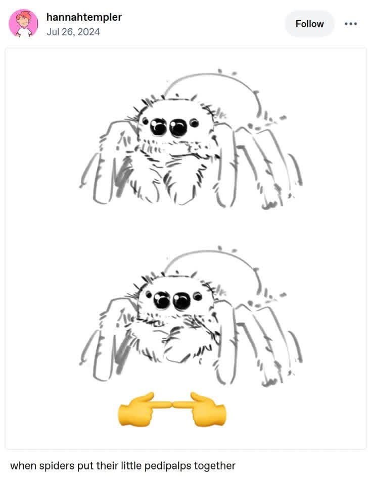 Entomemeology tweet media