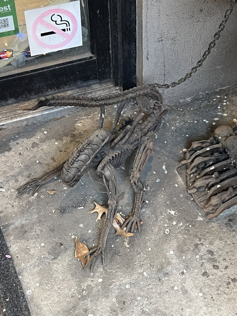 rawanara2's tweet image. #nyc