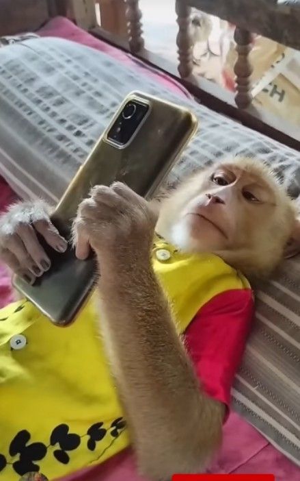 bee pacar ruto❗ tweet media