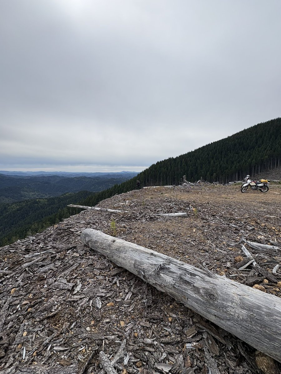 Chokeyourself9's tweet image. #dualsport #PNW #Oregon #DR650
