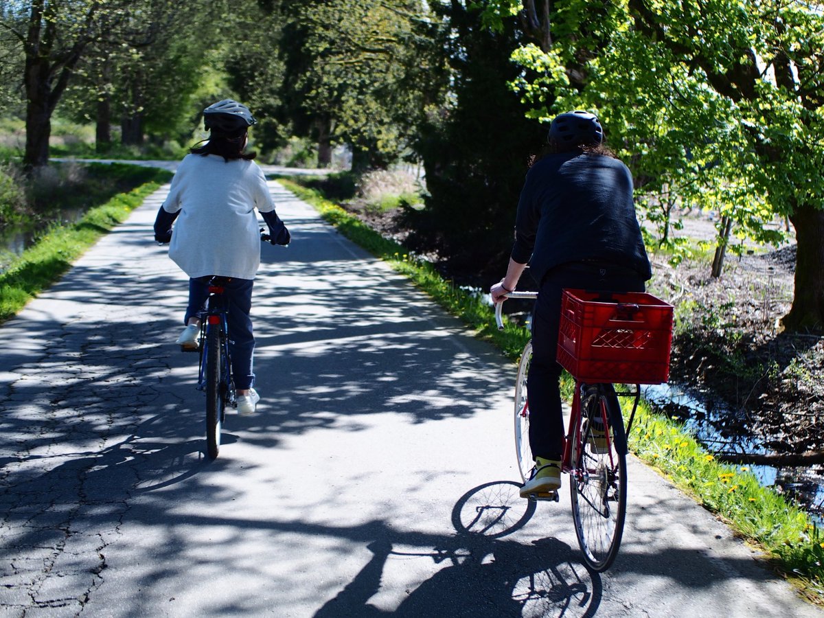 トモBC🇨🇦 tweet media