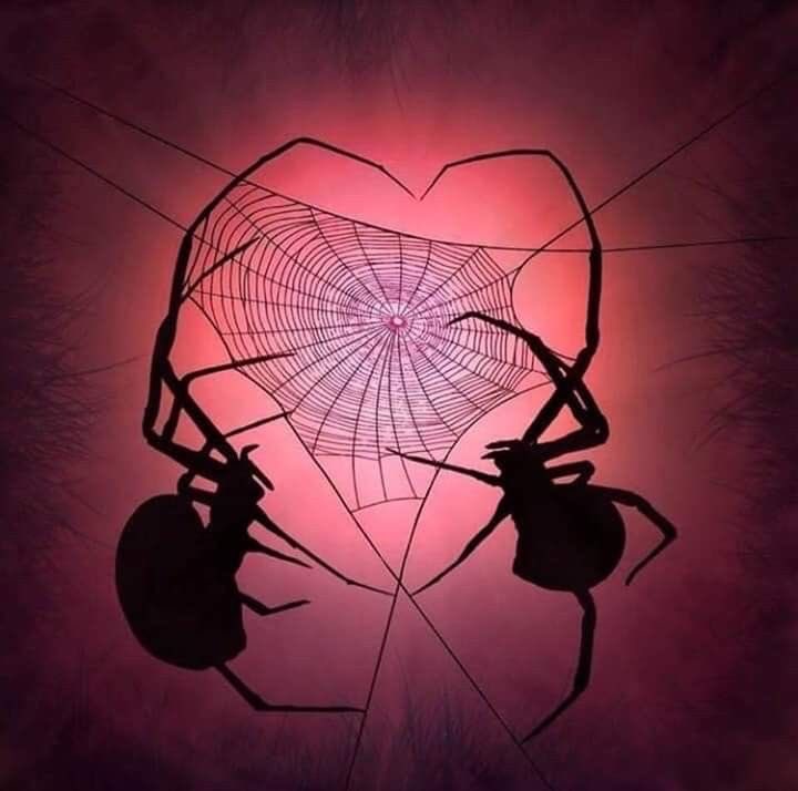 Dorian🏳️‍🌈♏️ tweet media