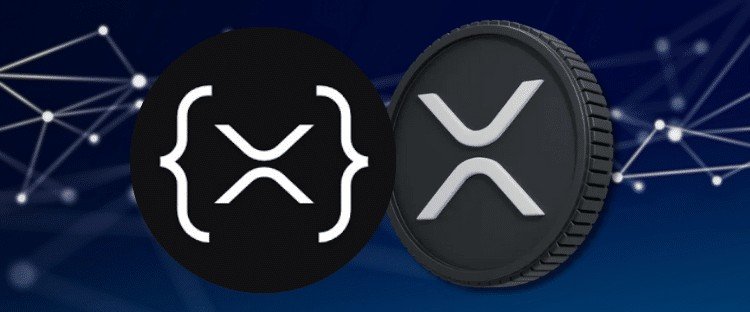 Chloe the XRP shiller 💙 tweet media