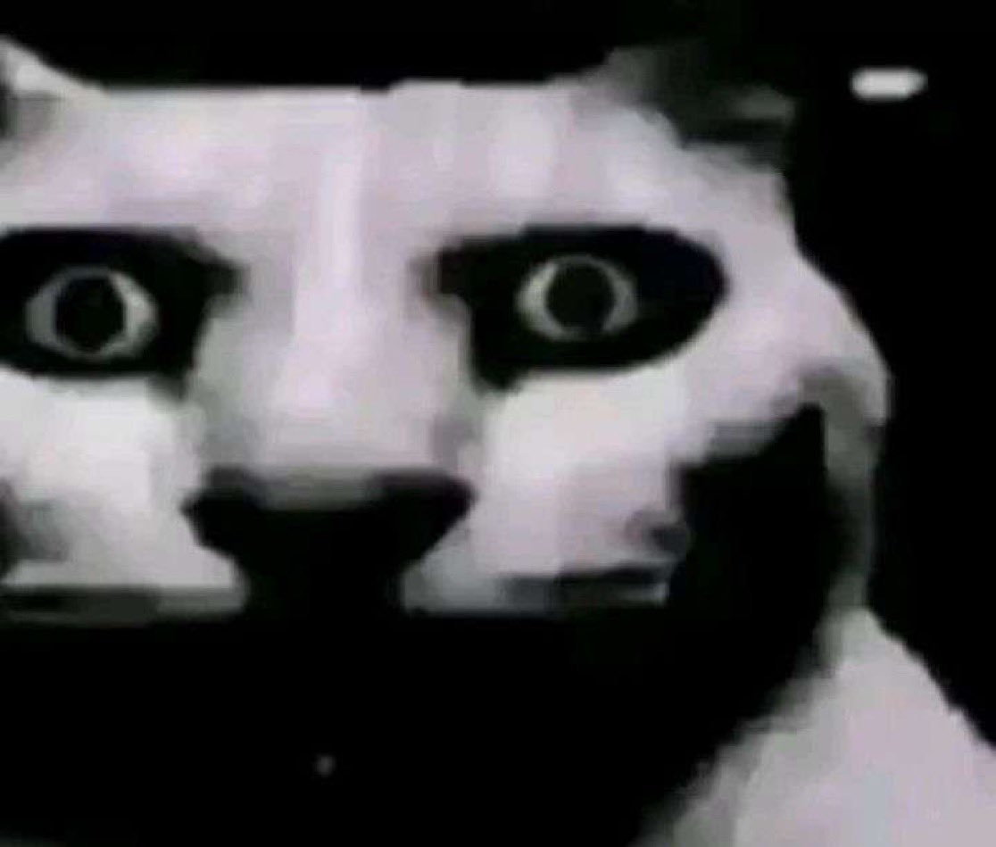 mah #PresasExpostas tweet media