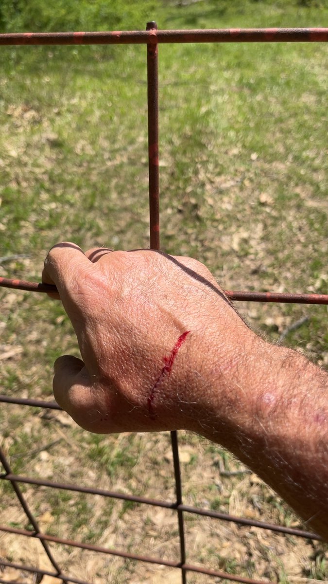 Cattleman🪓 tweet media