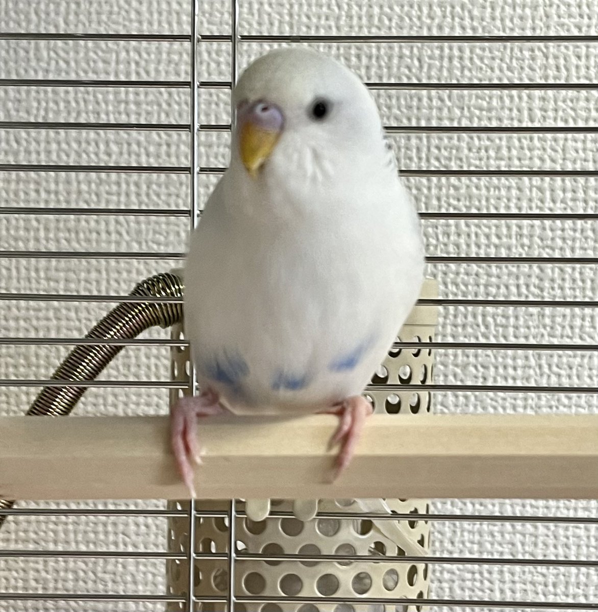 Ʊ၈⑅𓅫 tweet media