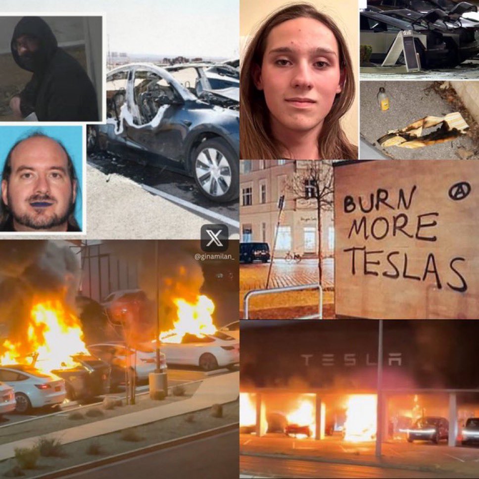 Gina Milan tweet media