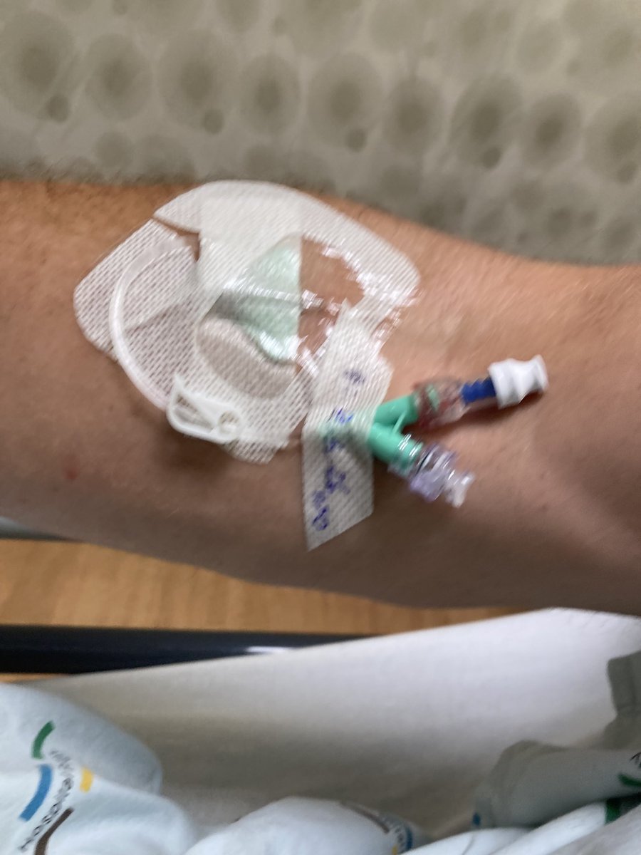 Mr. Kiwi tweet media