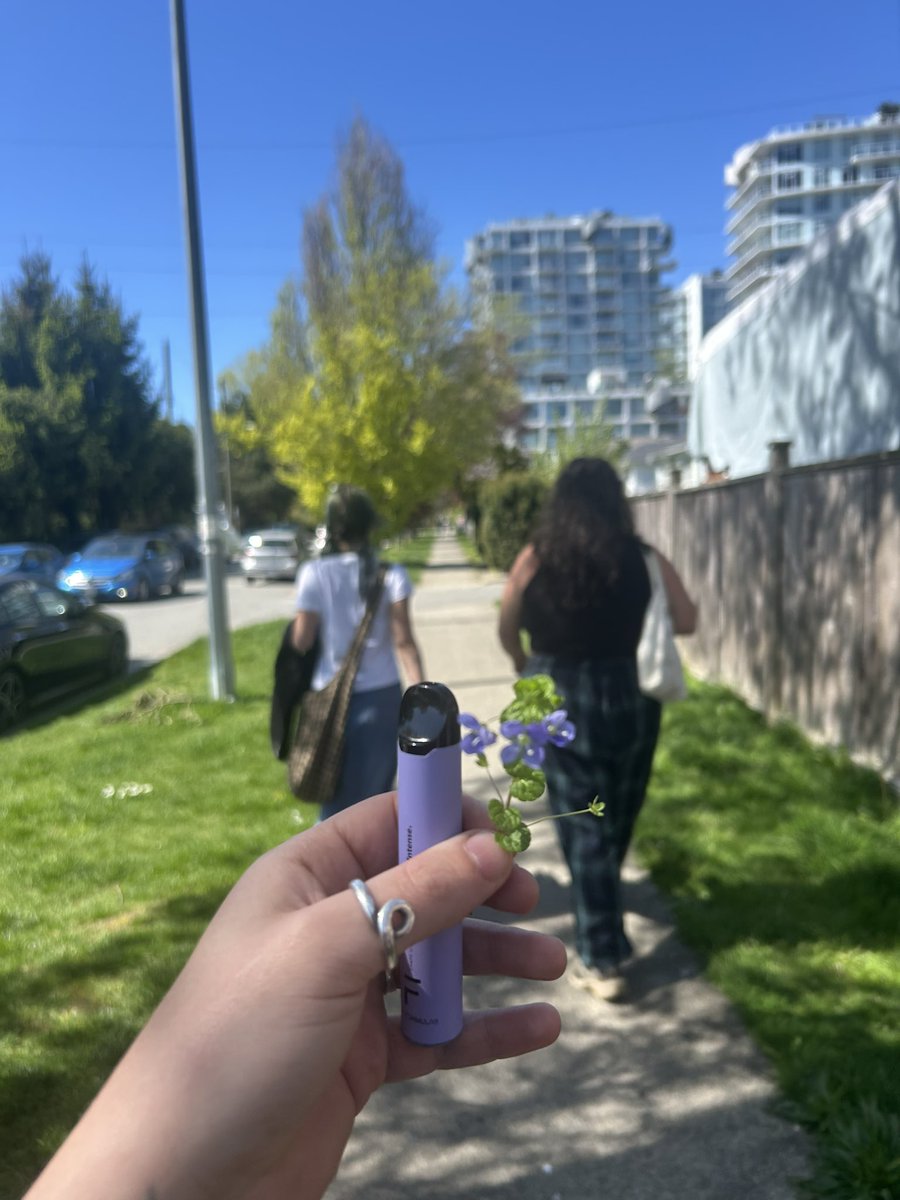 sulk_e's tweet photo. sping is spung https://t.co/2XAmQj8Ba1