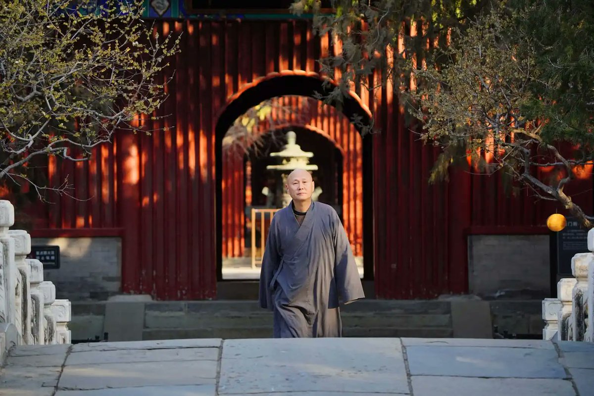 Xianshu_822's tweet image. It’s World Tapir Day. 🐘🍃

The tapir looks like many animals but is purely itself. 

We often try to blend in, to be "normal." 
Zen says: Your true nature is the only thing you don’t have to practice. 

Stop trying to be a better version of someone else. Just be. 

#Zen