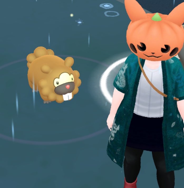 runa*🦫ྀི🐿ྀི tweet media