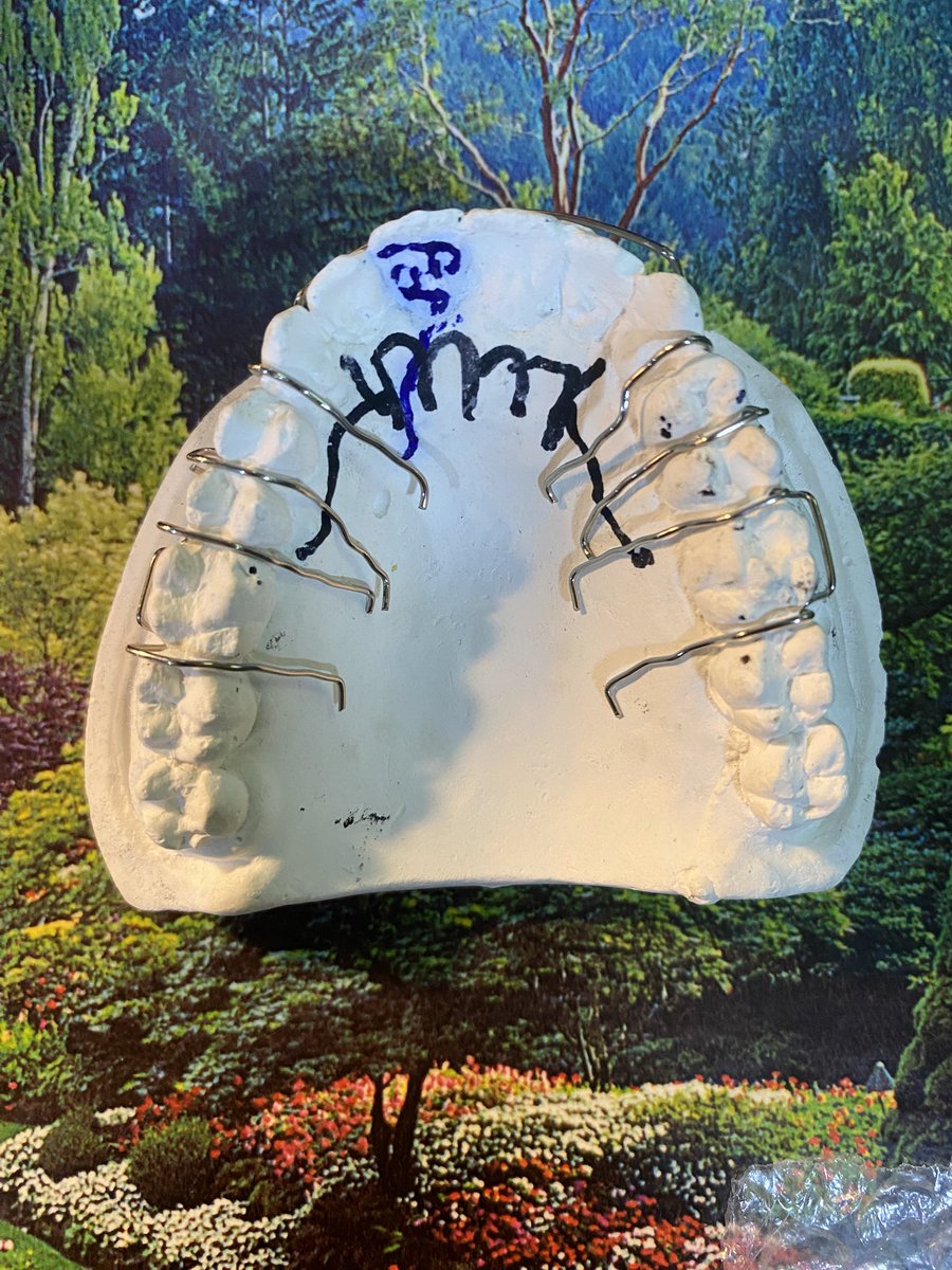 Ninyi 🦷 tweet media