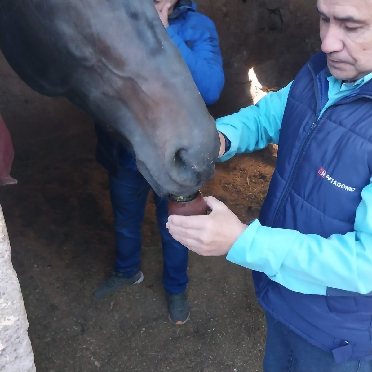 Don Bestia 🇦🇷 tweet media