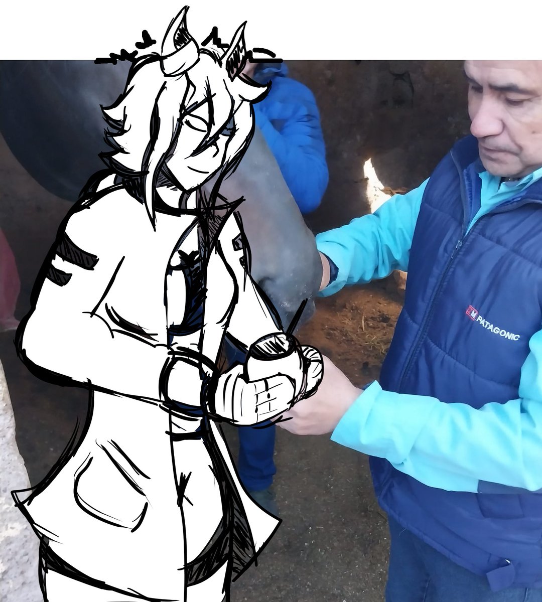 Don Bestia 🇦🇷 tweet media